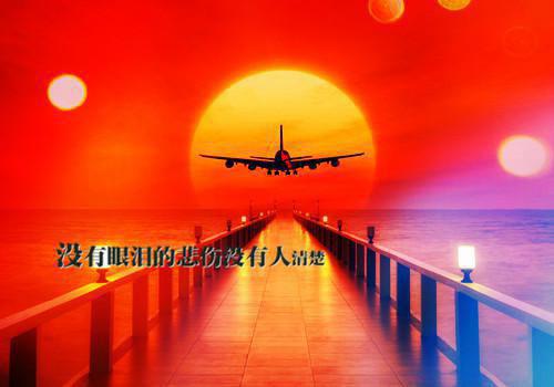 小学五年级学生优秀生评语