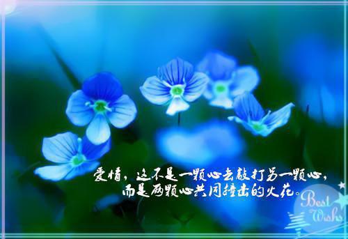 二上学生期末评语（精选19篇）