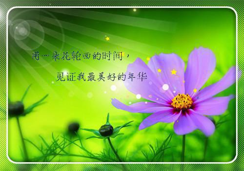小学生评语大全五年级家长（精选3篇）