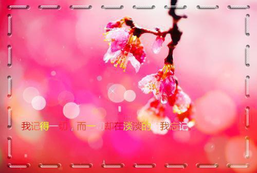 2023高考励志标语条幅