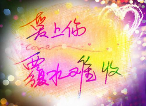 小说夏月兮沈风华结局+番外主角为夏月兮免费阅读