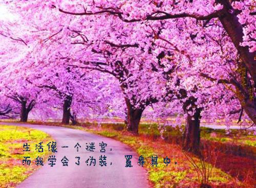 完结版小说老公为青梅转正，摔断了自己的腿第3章阅读