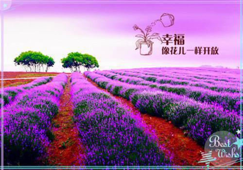 月影常寒露华湿：结局+番外(宋云延沈舒艺)全文免费阅读无弹窗大结局_(月影常寒露华湿：结局+番外)最新章节列表_笔趣阁(宋云延沈舒艺)