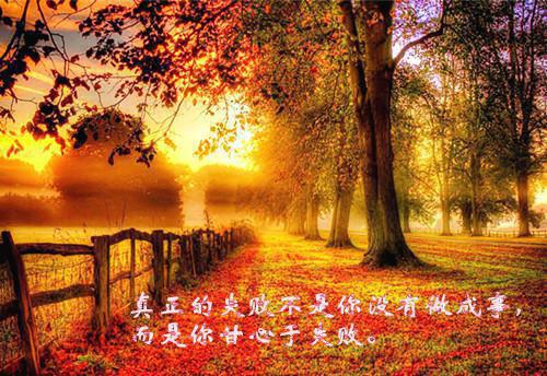 快穿：九十九世渣女重生幸福日常许桃完本在线小说免费阅读