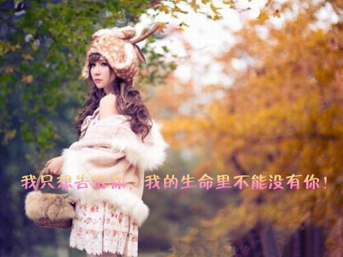 狮子头的由来故事