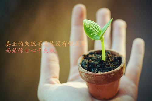 感人的经典爱情小故事精选