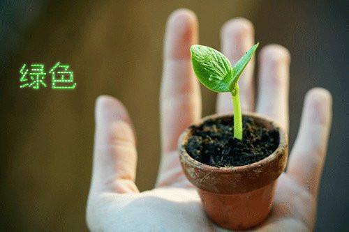 沈书妤顾怀瑾全文免费阅读（沈书妤顾怀瑾）全文免费阅读无弹窗大结局_(沈书妤顾怀瑾全文免费阅读沈书妤顾怀瑾)最新章节列表_笔趣阁（沈书妤顾怀瑾）