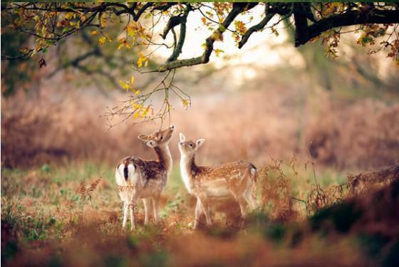 许漾齐汶宋羽彤宋羽乔结局+番外:青梅终成空小说全文免费阅读无弹窗大结局_许漾齐汶宋羽彤宋羽乔全文最新章节列表_笔趣阁(青梅终成空:结局+番外)