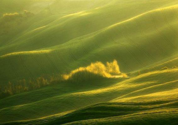 宋温童陆沉淮（死后第七年，我重生成狗了：结局+番外）全文在线宋温童陆沉淮读无弹窗大结局_（死后第七年，我重生成狗了：结局+番外宋温童陆沉淮）死后第七年，我重生成狗了：结局+番外最新章节列表_笔趣阁（宋温童陆沉淮）