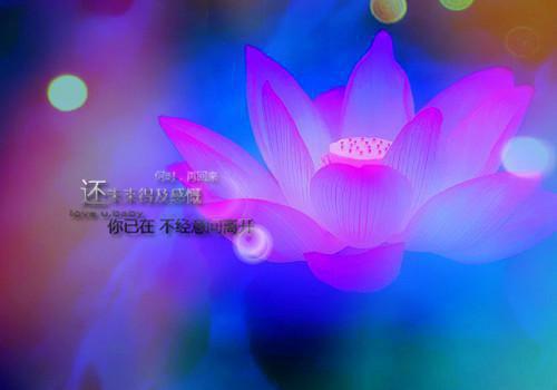 唯美的触动心灵的个性签名2023 海面的温度决定了风的狂野