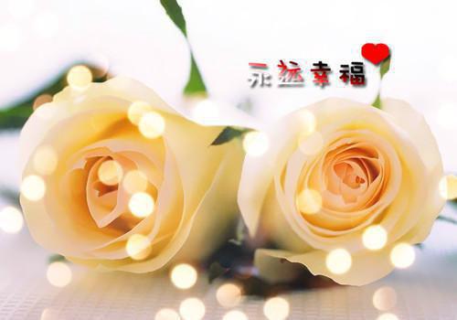 (番外)+(全文)聂元峥曲云娘林汐汐（镜花不比人间月：无广告+大结局）完整全文在线阅读_聂元峥曲云娘林汐汐免费阅读最新章节列表_笔趣阁（镜花不比人间月：无广告+大结局）