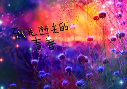 爱意溯回司奕辰白南希全文在线司奕辰白南希无弹窗大结局_（爱意溯回）司奕辰白南希最新章节列表笔趣阁（司奕辰白南希）