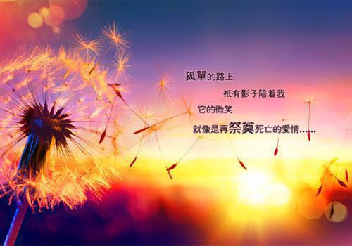 句句真理的英文个性签名 坚强女生失落签名