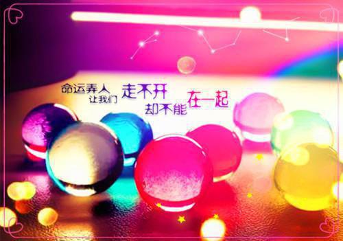 被分手后我找回了亲生父母热门小说宋由陆弘毅常宁完结版全章节阅读