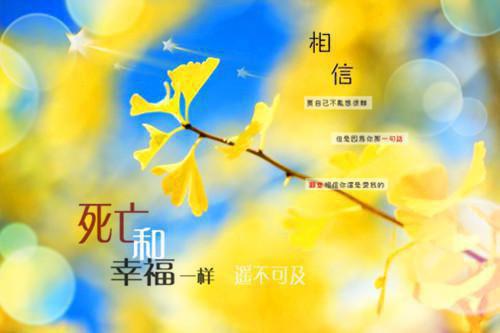 800字励志的小短文800字左右的励志文章