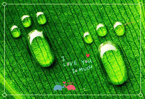 六年级差生评语