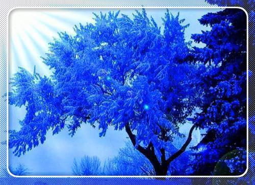 却将烟雨送黄昏靳博言裴雅心闻烟完本+(靳博言裴雅心闻烟)一口气阅读却将烟雨送黄昏靳博言裴雅心闻烟:结局+番外最新章节列表_笔趣阁(靳博言裴雅心闻烟)