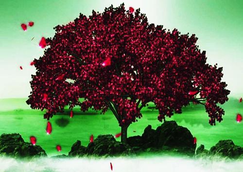 凤神浴火忘相思免费凤夜完本在线小说免费阅读