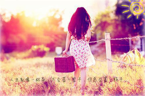 七零觉醒,不要团长要科研顾念沈北漠完结版全章节阅读