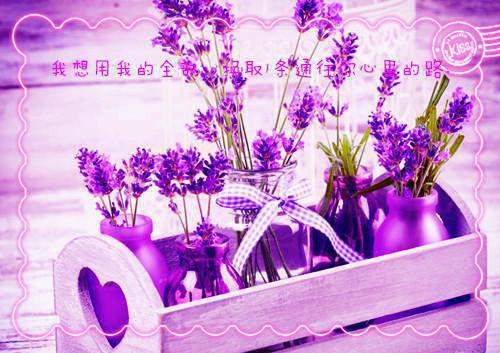 (番外)+(结局)江雪宁周京泽（雪落再说爱你：全文+后续）全文免费阅读无弹窗大结局_(江雪宁周京泽)最新章节列表_笔趣阁（雪落再说爱你：全文+后续）