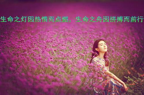 嫡女回京，她的身份多到爆小小向日葵完本在线小说免费阅读
