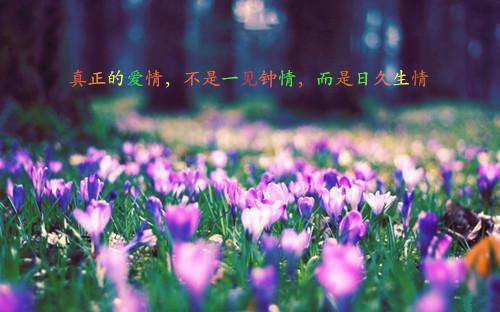 高三励志激励斗志演讲