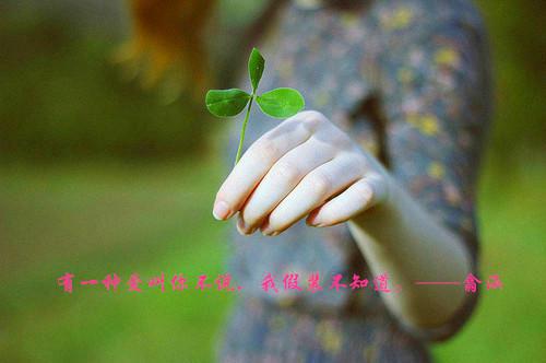 小说表妹为追星提前剖腹产,秦沁陈茵茵主角为秦沁陈茵茵免费阅读