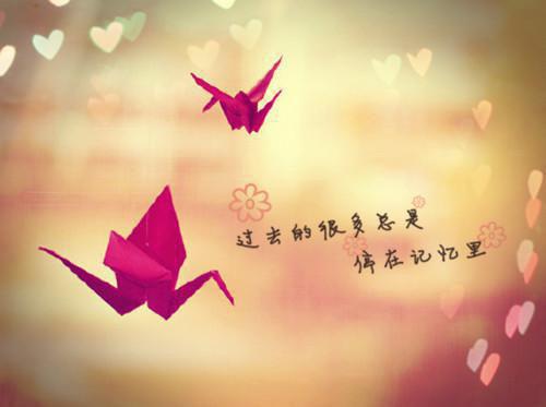 我吸血鬼吃光,始祖见我都摇头:全文+后续(余贤张寿)全文免费阅读无弹窗大结局_(余贤张寿)我吸血鬼吃光,始祖见我都摇头:全文+后续最新章节列表_笔趣阁(余贤张寿)