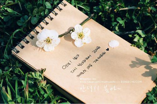 恰逢暮雪又白头：纯净版+全文+后续（江清雾季晏离）全文免费阅读无弹窗大结局_（江清雾季晏离）最新章节列表_笔趣阁恰逢暮雪又白头：纯净版+全文+后续