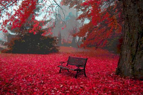 苏明婉付北辰沈淮遇结局+番外：几番离合，终成迟暮小说全文免费阅读无弹窗大结局_苏明婉付北辰沈淮遇全文最新章节列表_笔趣阁（几番离合，终成迟暮：结局+番外）