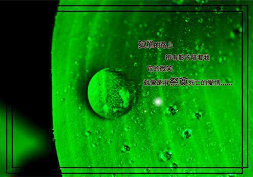 (番外)+(全文)邹凯宁秋棠(余生来世不相见:结局+番外)全文免费阅读无弹窗大结局_(邹凯宁秋棠)最新章节列表_笔趣阁(余生来世不相见:结局+番外)