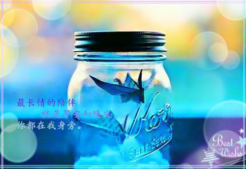 对优秀教师的评语（精选27篇）
