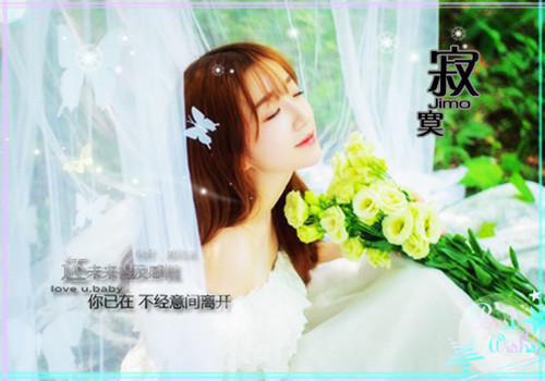 宋韫哲的小说洛凝宋韫哲宋韫哲全文阅读