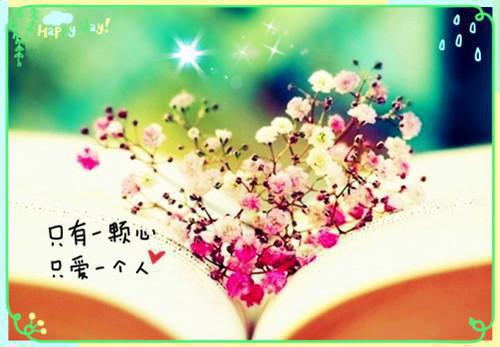 经典周末问候短信发给客户