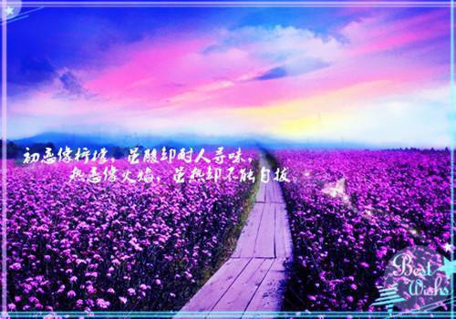 完结版小说被踢出乐队后，我翻红成天后第1章阅读