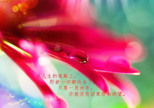 早安心语集