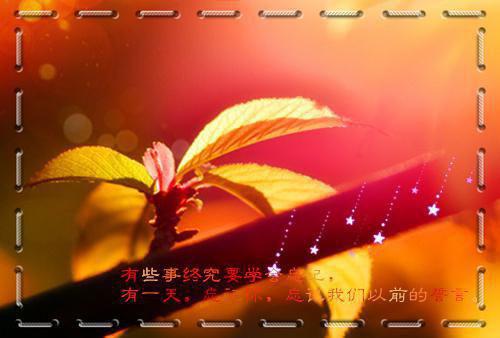 庆元旦三句半台词大全