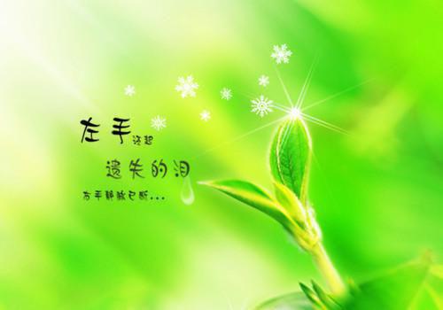 (吹牛是首富，一觉醒来成真了：结局+番外)全集免费(江南孟清秋)全文免费阅读无弹窗大结局_吹牛是首富，一觉醒来成真了：结局+番外最新章节列表_笔趣阁江南孟清秋