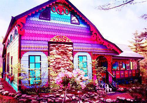 晚云遮尽棠前月：全文+后续完整版热门（沈晚棠陆淮枭夏苒苒）全文免费阅读已完结无弹窗_晚云遮尽棠前月：全文+后续最新章节列表_笔趣阁（沈晚棠陆淮枭夏苒苒）