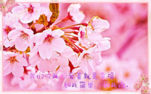小学生优秀的评语（通用16篇）