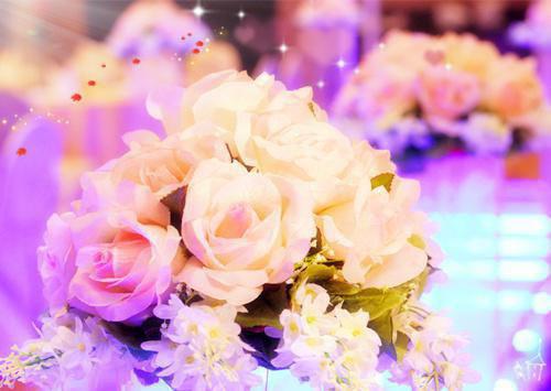 专业教师作文评语（精选3篇）