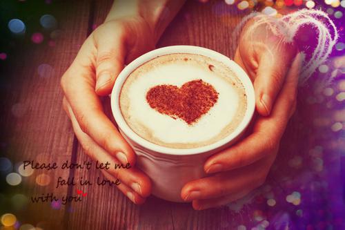 (番外)+(全文)爱意逆时完结+无广告（温怀序慕洛笙）全文免费阅读无弹窗大结局_（爱意逆时温怀序慕洛笙：结局+番外）爱意逆时温怀序慕洛笙：结局+番外最新章节列表_笔趣阁（温怀序慕洛笙）