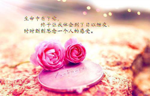 (番外)+(全文)夏祁风穆嘉楠小说免费下载阅读_(穆嘉楠夏祁风：结局+番外)夏祁风穆嘉楠最新章节列表_笔趣阁（穆嘉楠夏祁风：结局+番外）
