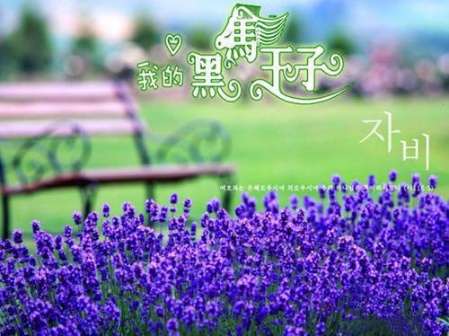 沈斯寒林绾绾沈斯寒完本在线小说免费阅读