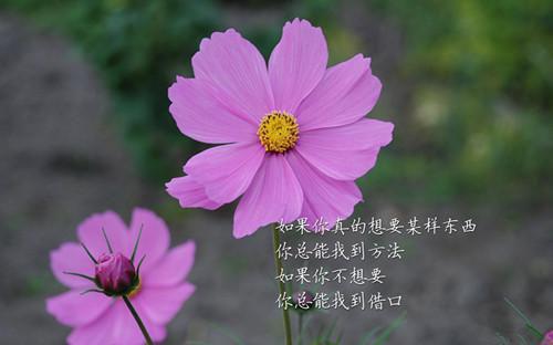 同事过生日祝福语句