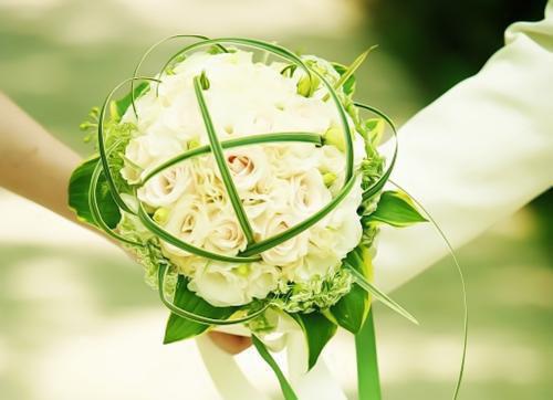 (番外)+(全文)白月光男主手撕剧本:结局+番外+完结小说全文全章节阅读_纪清月陈赞礼白月光男主手撕剧本:结局+番外+完结小说纪清月陈赞礼小说阅读