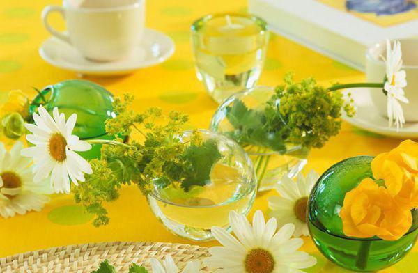 云姝的小说_为婢在线云姝小说阅读