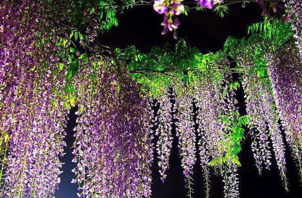 (番外)+(全文)戚如穗凌晏迟（长恨春归无觅处：无广告+大结局）完整全文在线阅读_戚如穗凌晏迟免费阅读最新章节列表_笔趣阁（长恨春归无觅处：无广告+大结局）