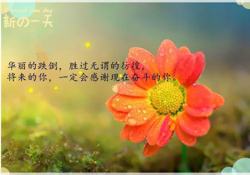 上学期幼儿园大班评语大全