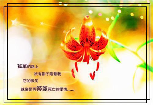 西门吹雪的小说_桃运官场娄丹珍柳春翠小说阅读